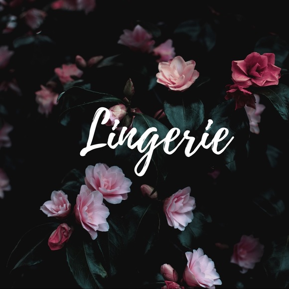 Lingerie - Picture 1 of 1